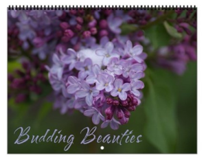 Budding Beauties Calendar